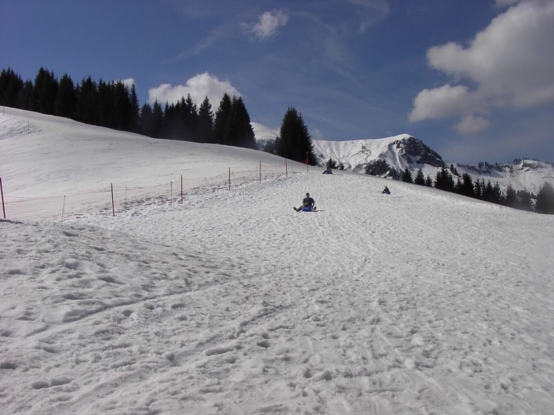 luge